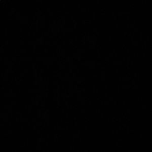 Meet your Posher, Chelly